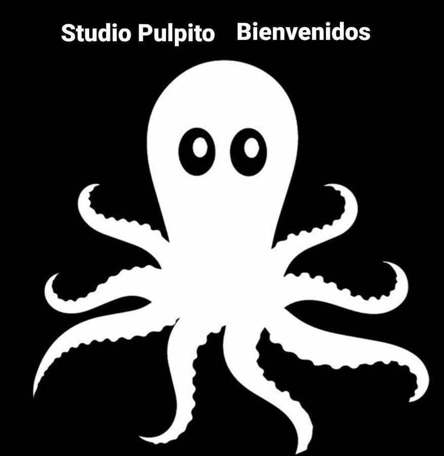 Studio Pulpito In The Charming Heart Of Downtown Pv 巴亞爾塔港 外观 照片